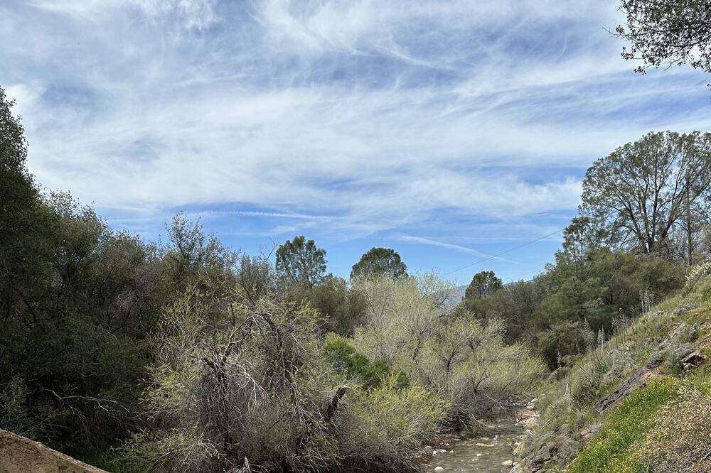 Photo of Outdoor in Bodfish