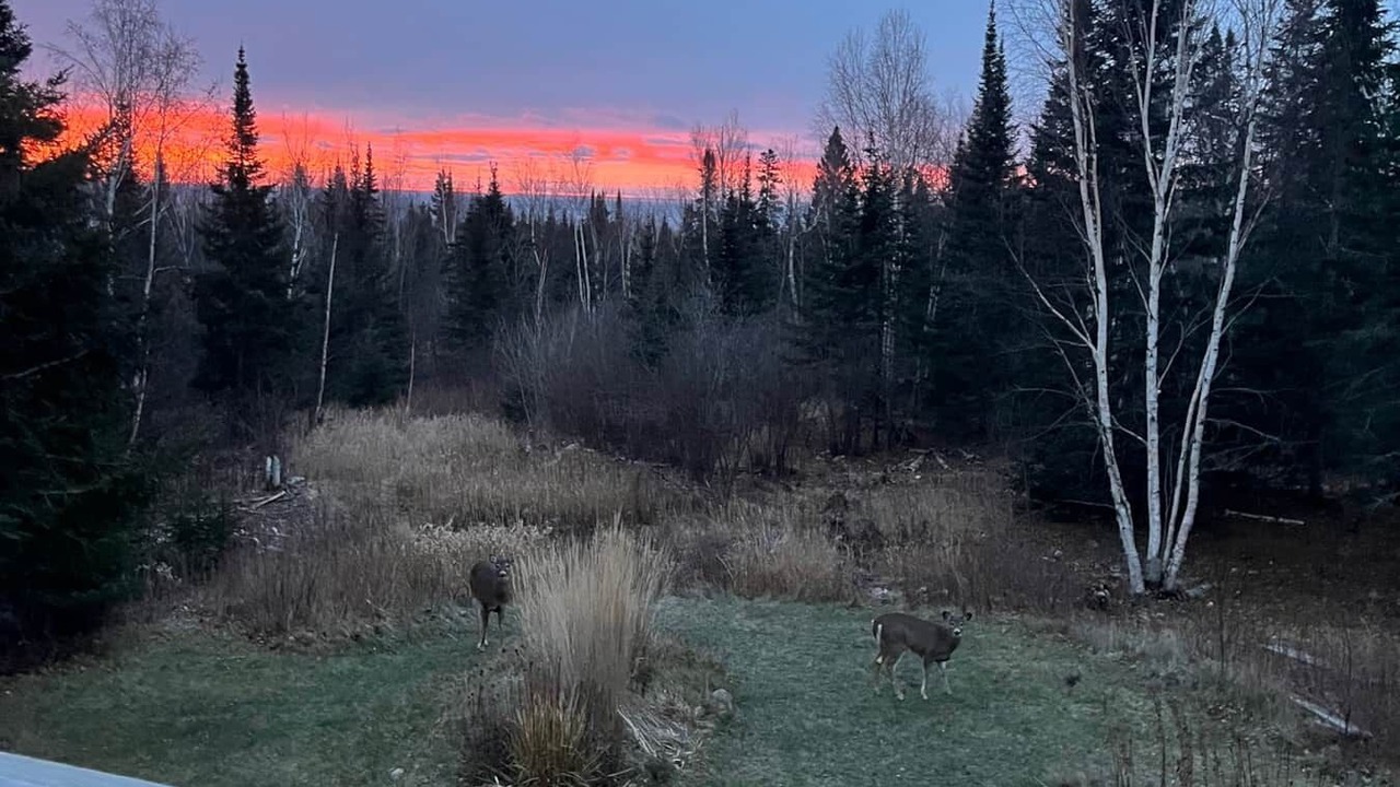 Photo of Outdoor in Grand Marais
