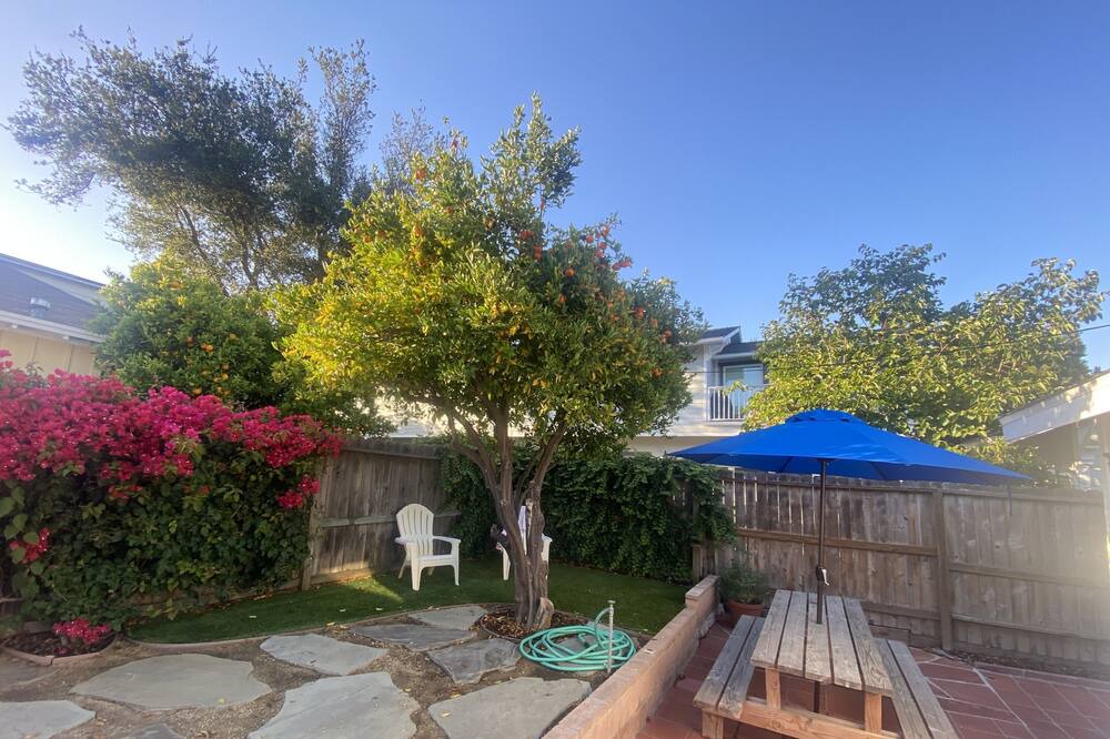 Photo of Outdoor in Oak Park