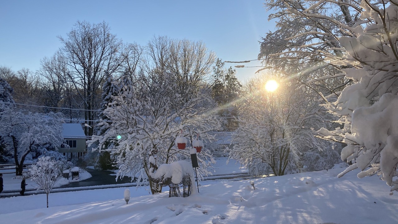 Photo of Outdoor in Bethesda
