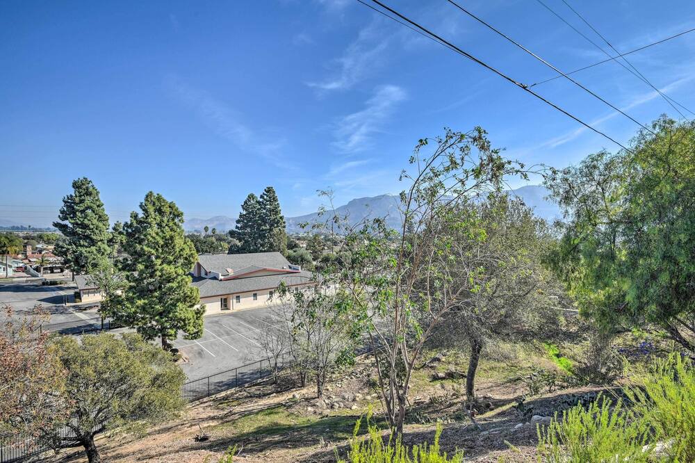 Photo of Outdoor in Santa Paula
