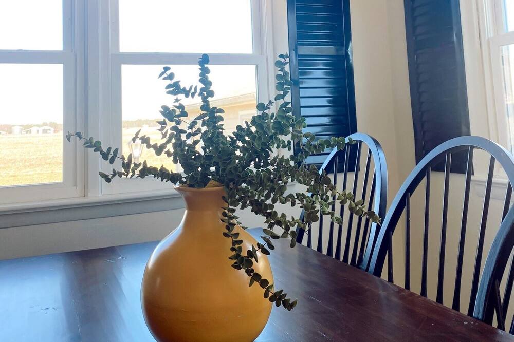 Photo of Kitchen in Allen