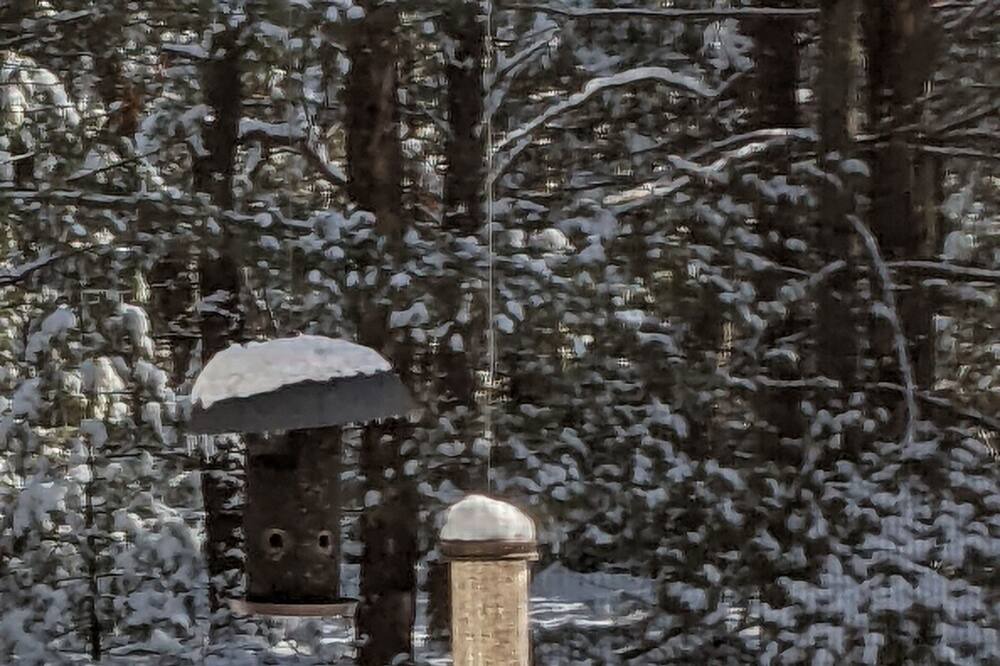 Photo of Outdoor in Lone Rock
