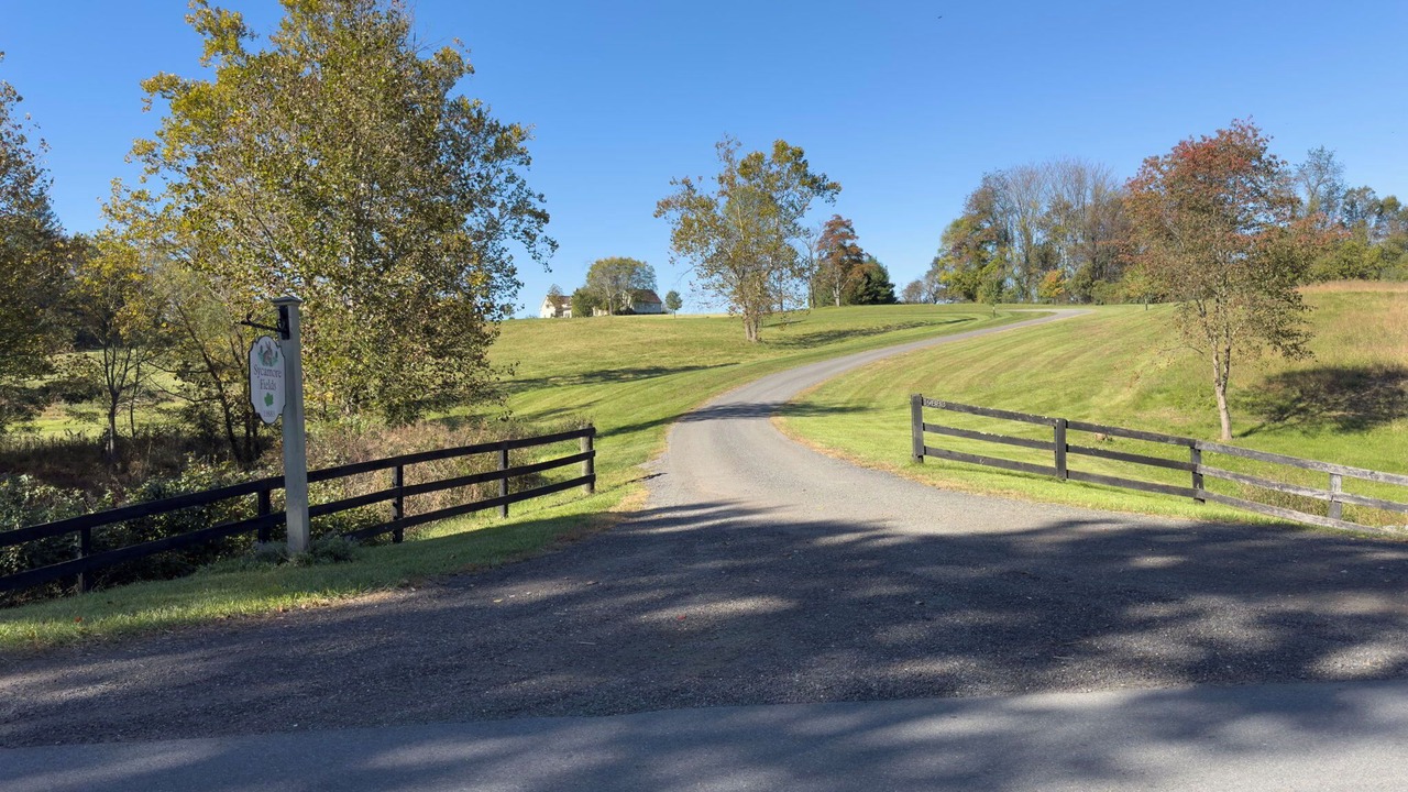 Photo of Others in Blue Ridge