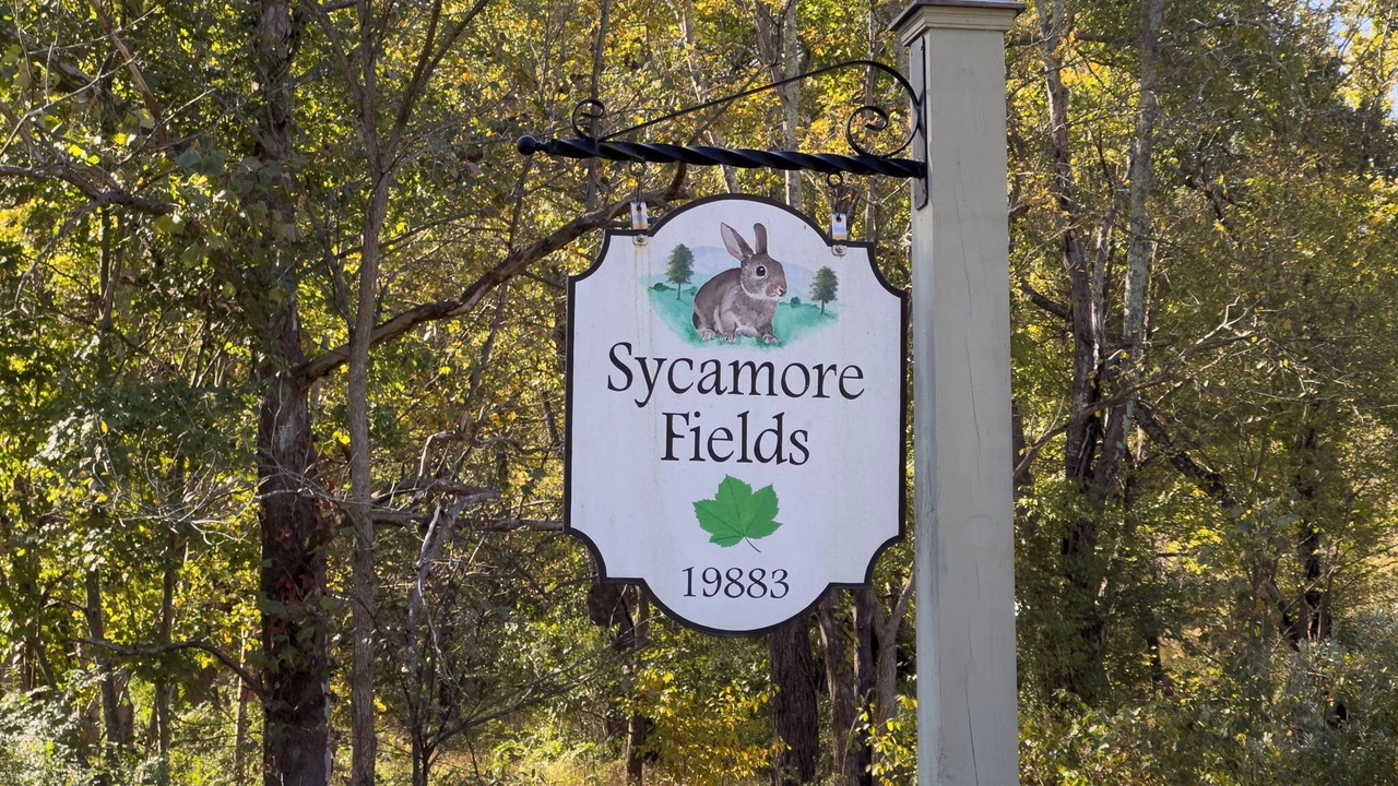 Photo of Outdoor in Blue Ridge