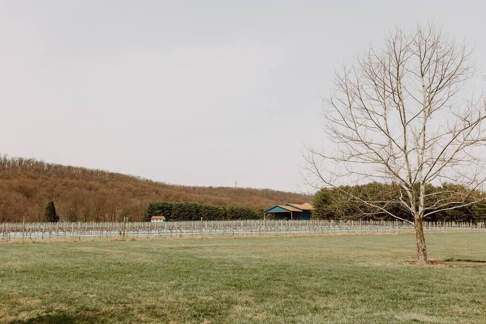 Photo of Others in Purcellville
