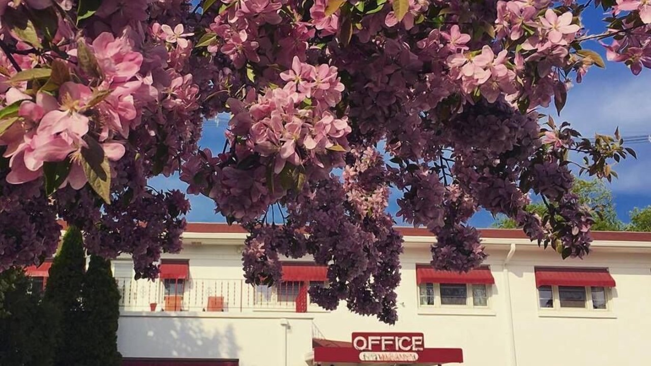 Photo of Buildings in Sturgeon Bay