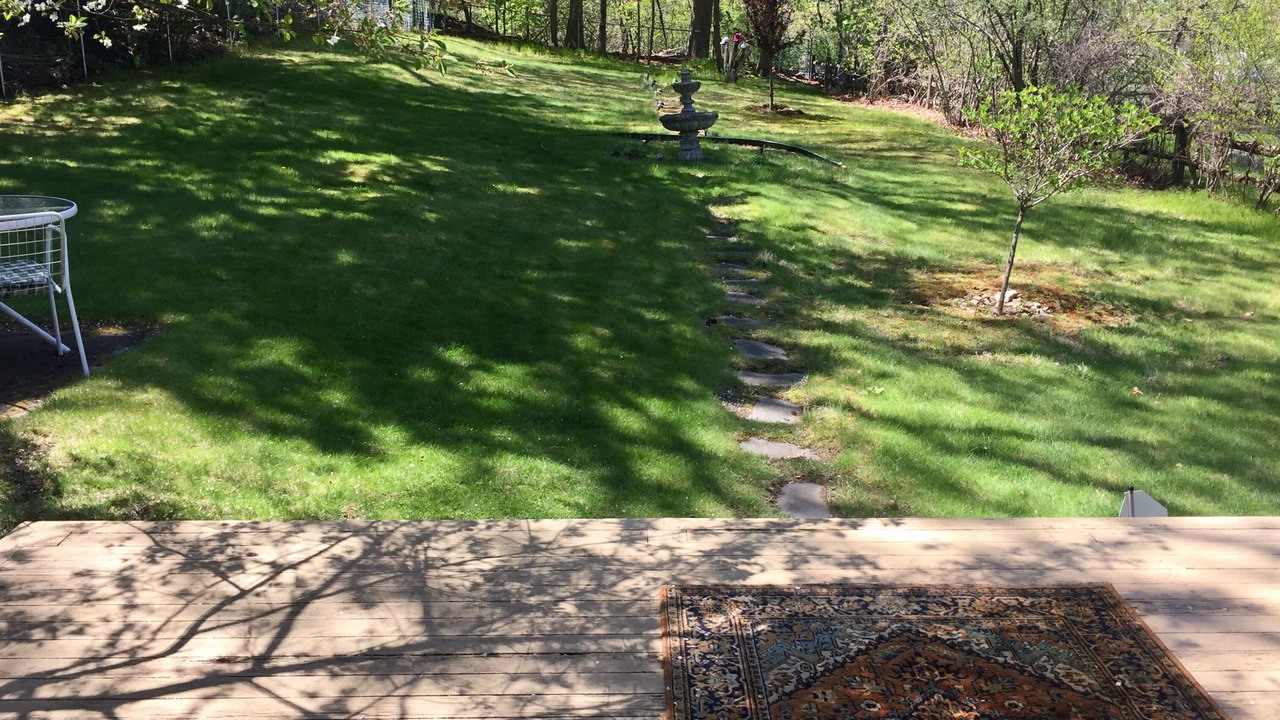 Photo of Outdoor in Wellesley