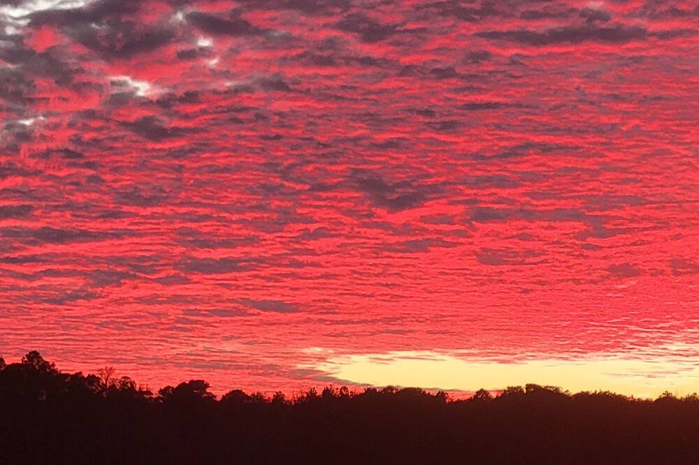Photo of Others in Wicomico County
