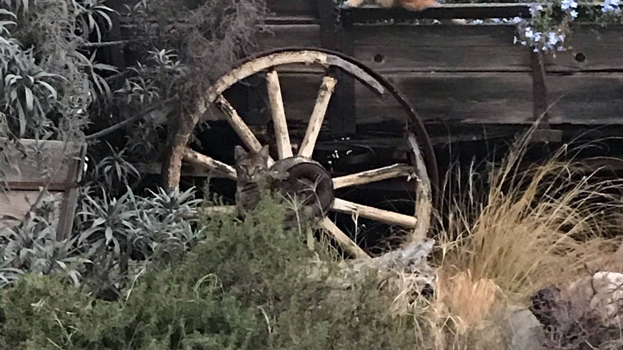 Photo of Outdoor in Ventura County