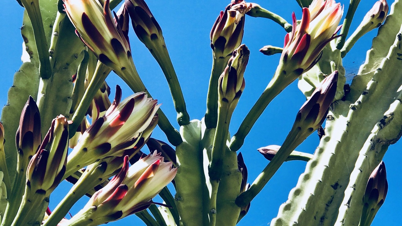 Photo of Outdoor in Ventura County