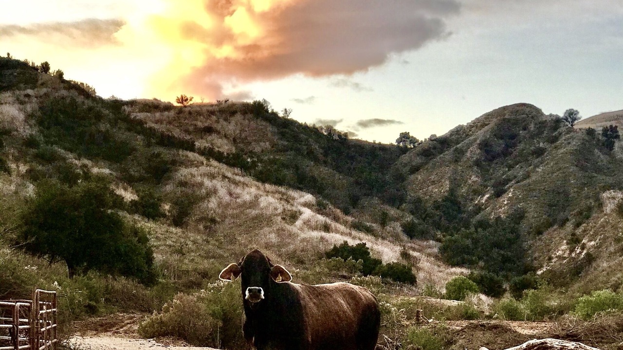 Photo of Others in Ventura County