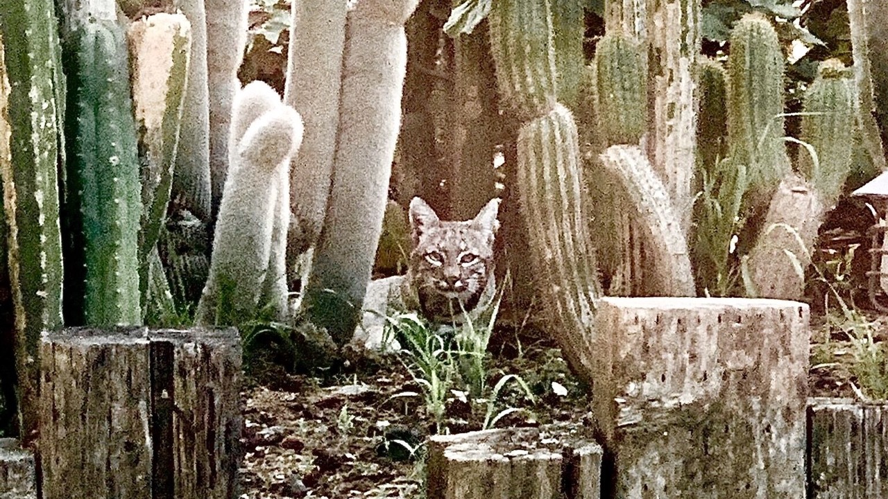Photo of Outdoor in Ventura County