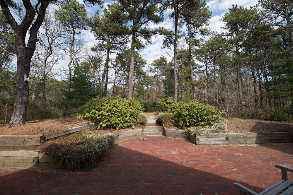 Photo of Outdoor in South Orleans