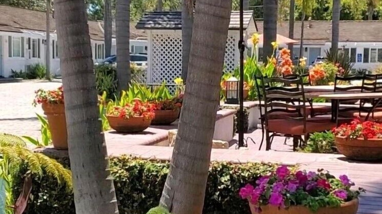 Photo of Outdoor in West Beach