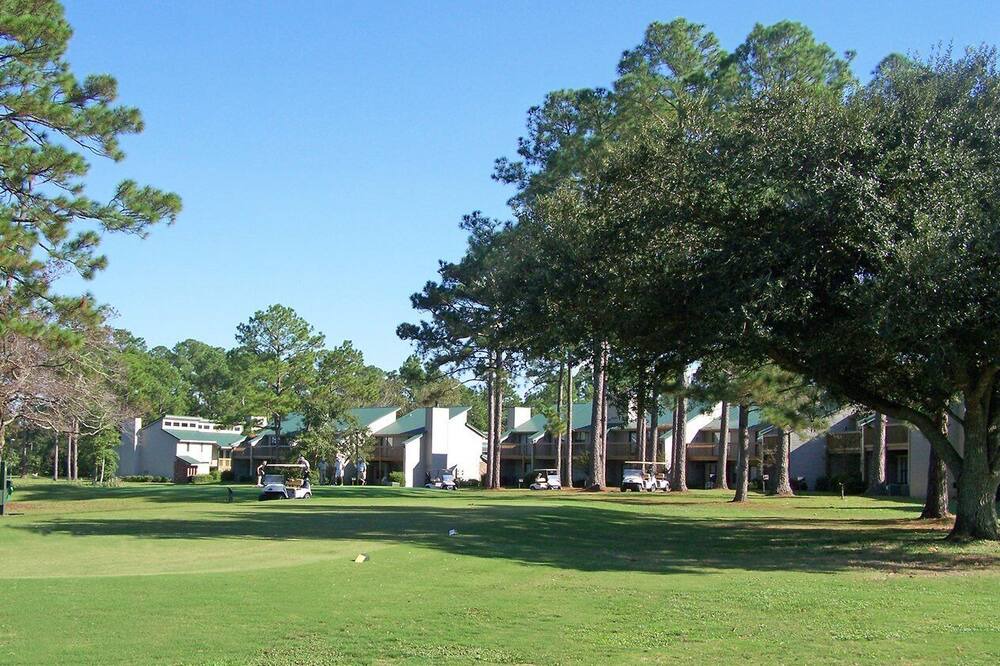 Photo of Others in Gautier