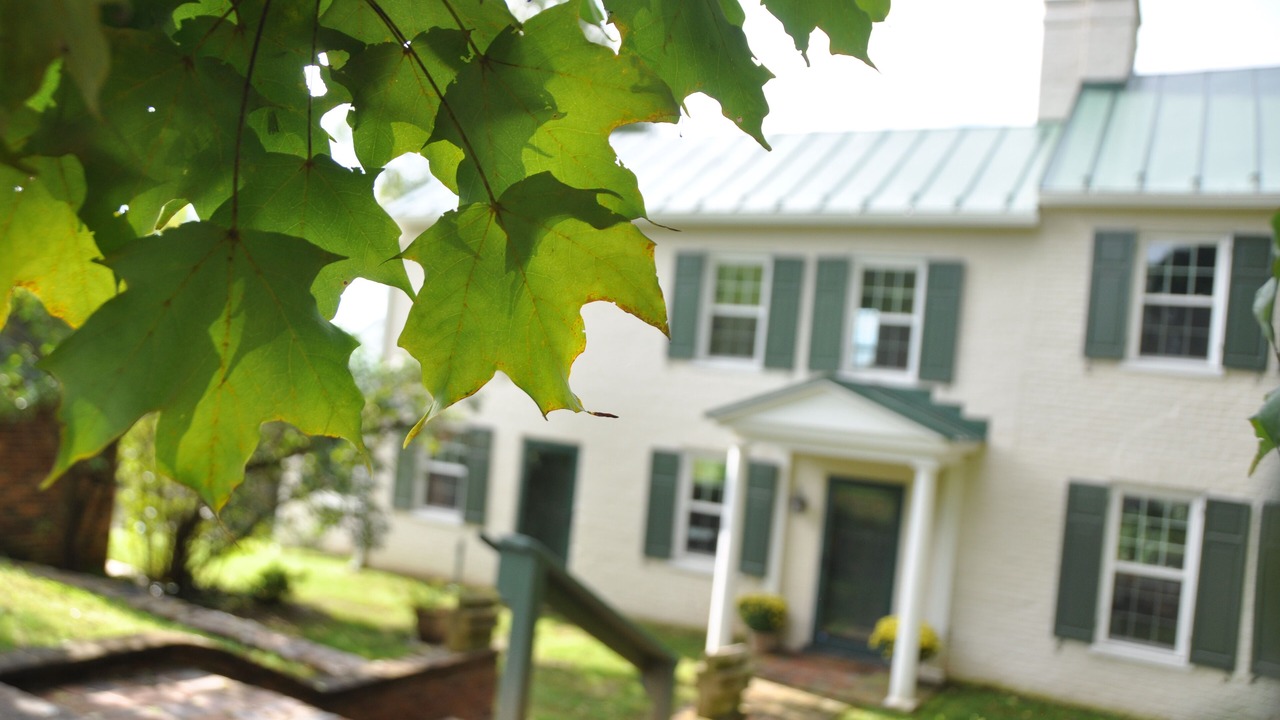 Photo of Outdoor in Blue Ridge