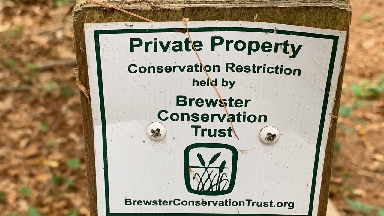 Photo of Outdoor in Brewster
