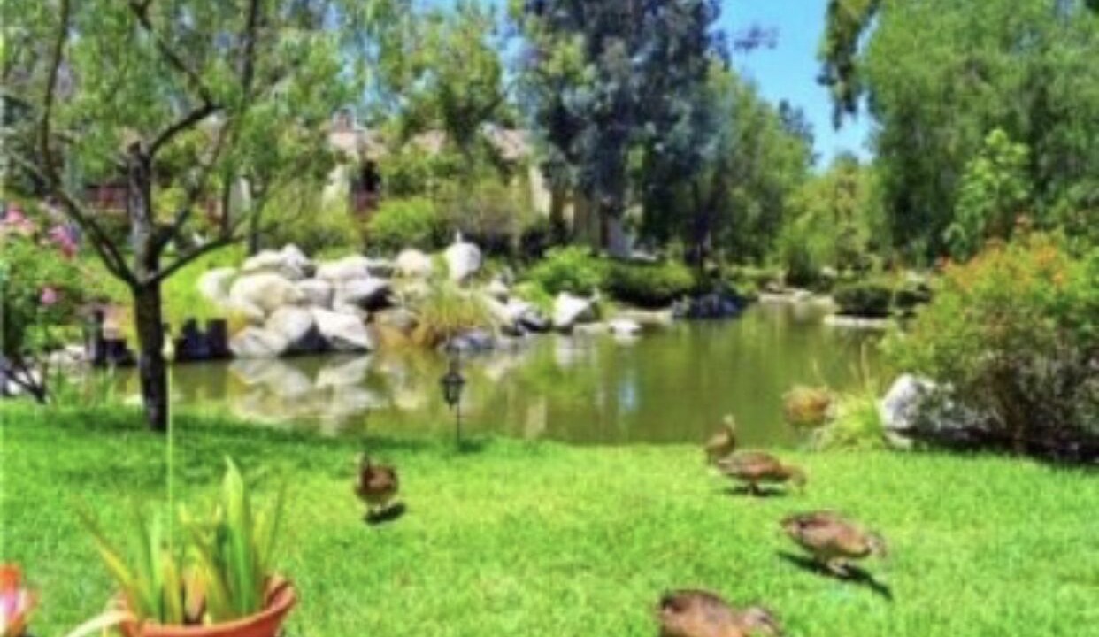 Photo of Outdoor in Warner Center