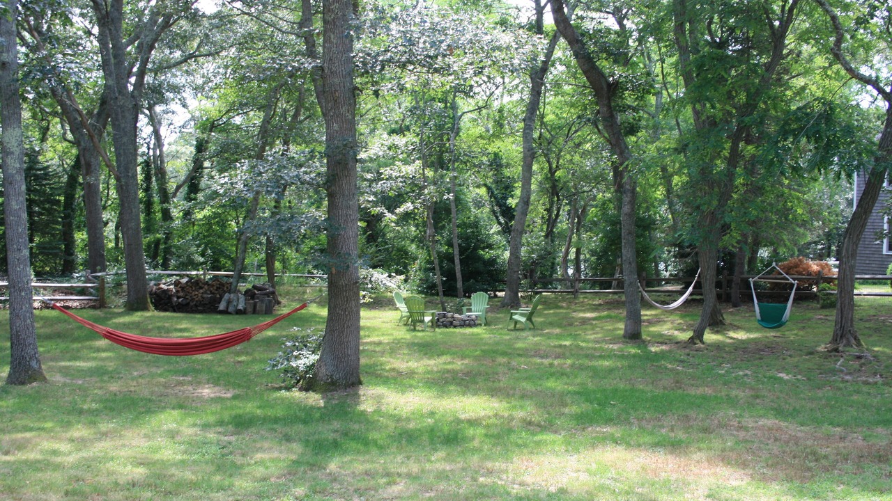 Photo of Outdoor in Eastham