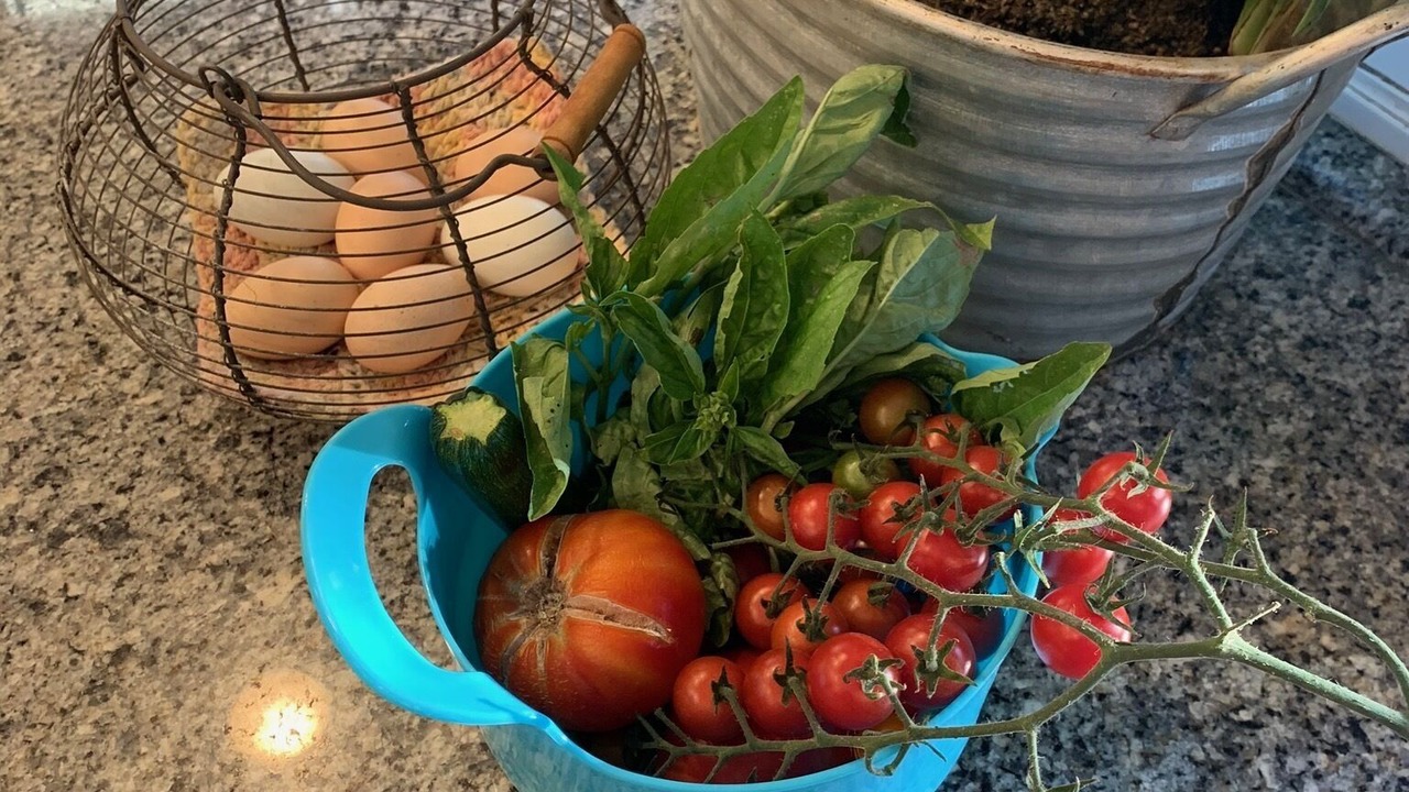 Photo of Outdoor in Camarillo