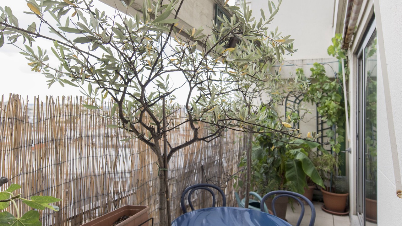 Photo of Outdoor in Passy