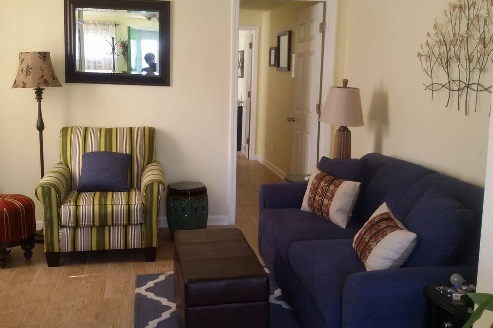 Photo of Livingroom in Freret