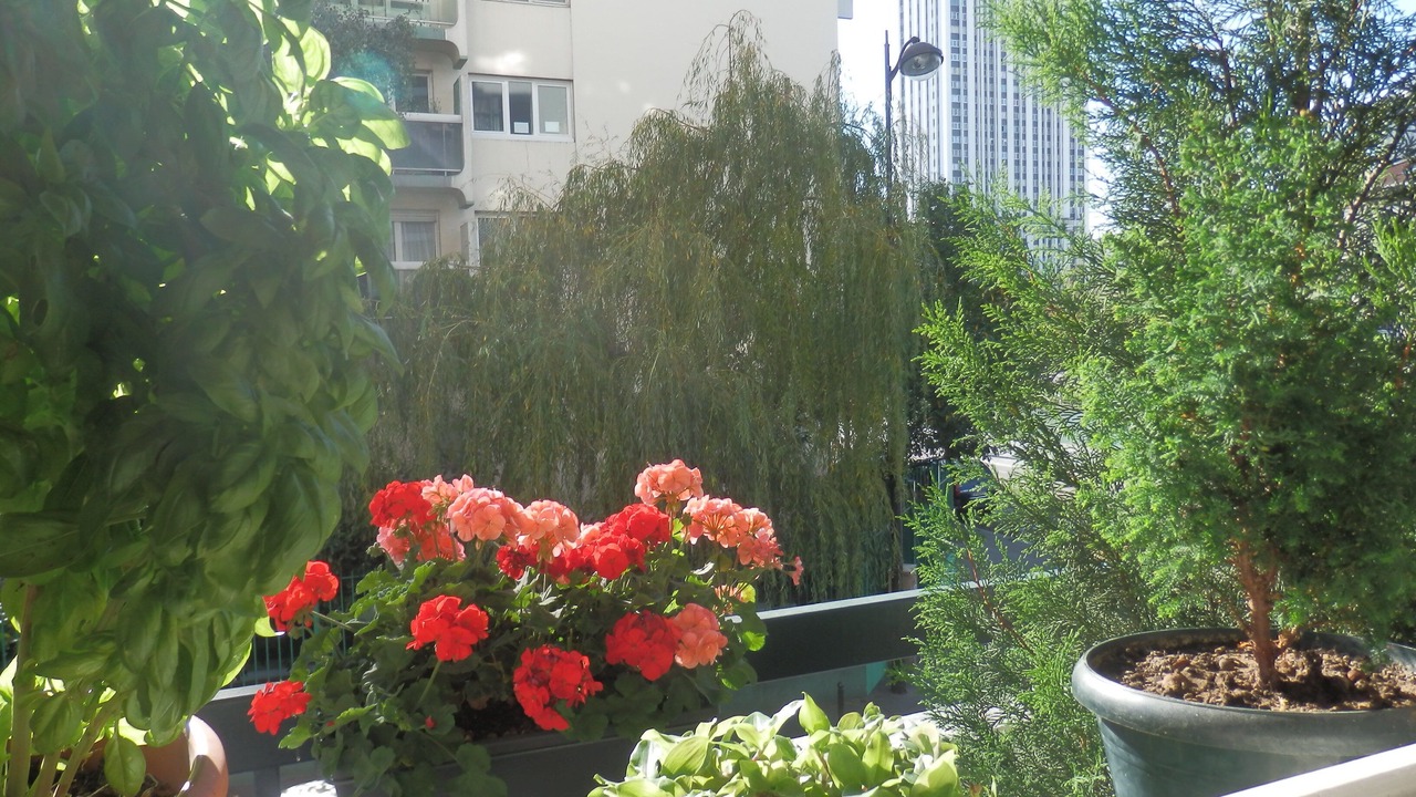 Photo of Outdoor in 19th Arrondissement