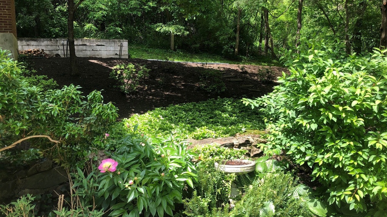 Photo of Outdoor in Blue Ridge