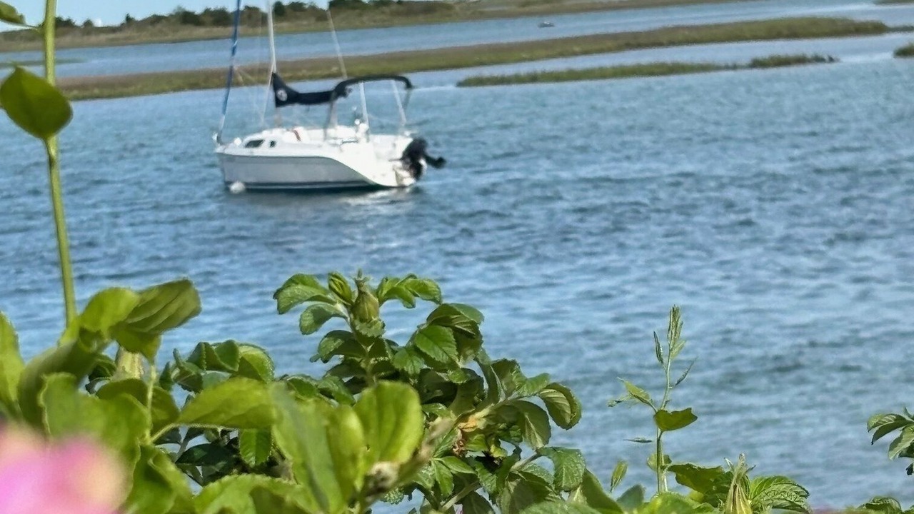 Photo of Others in South Yarmouth