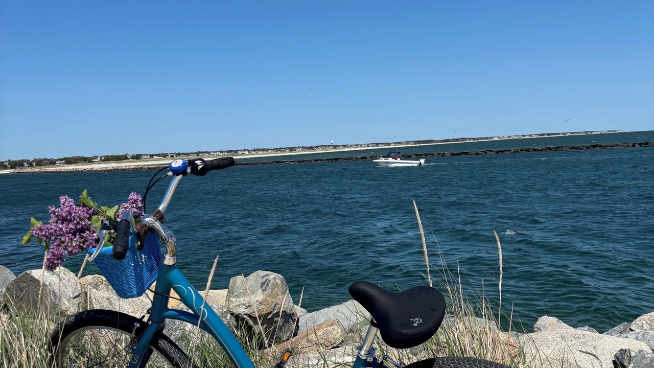 Photo of Others in South Yarmouth