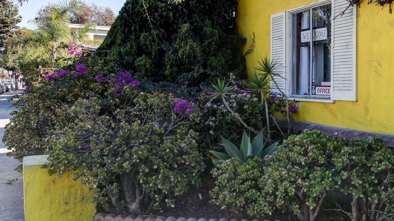 Photo of Outdoor in Sunset Park