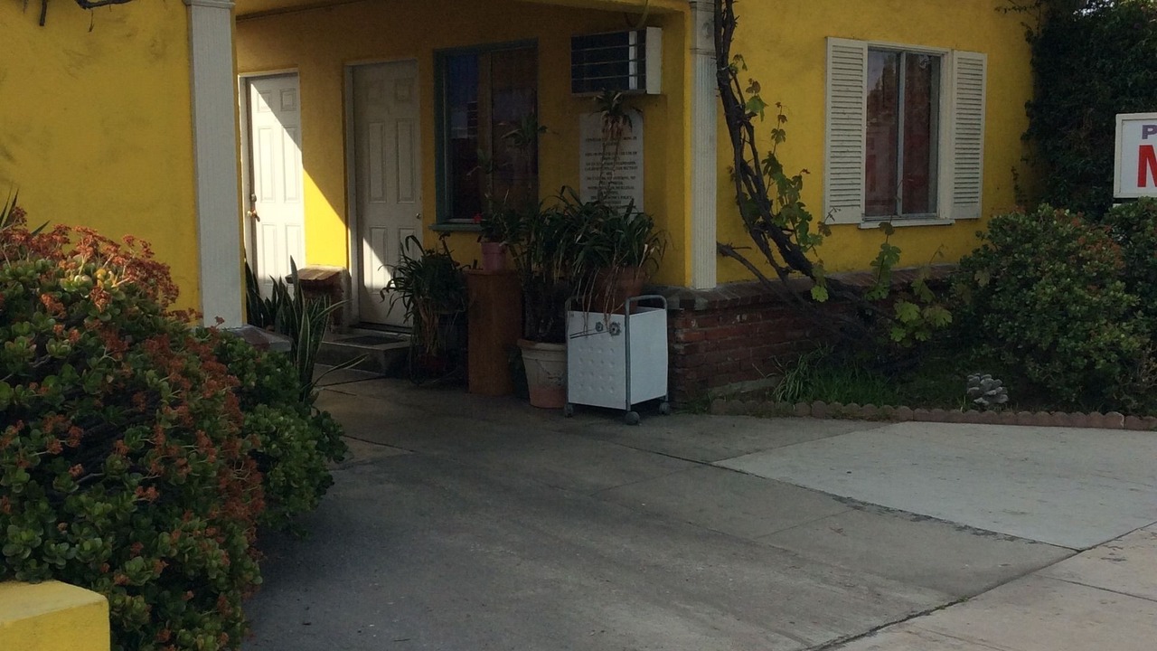 Photo of Outdoor in Sunset Park