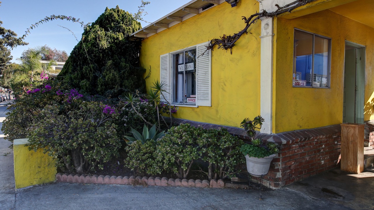Photo of Outdoor in Sunset Park