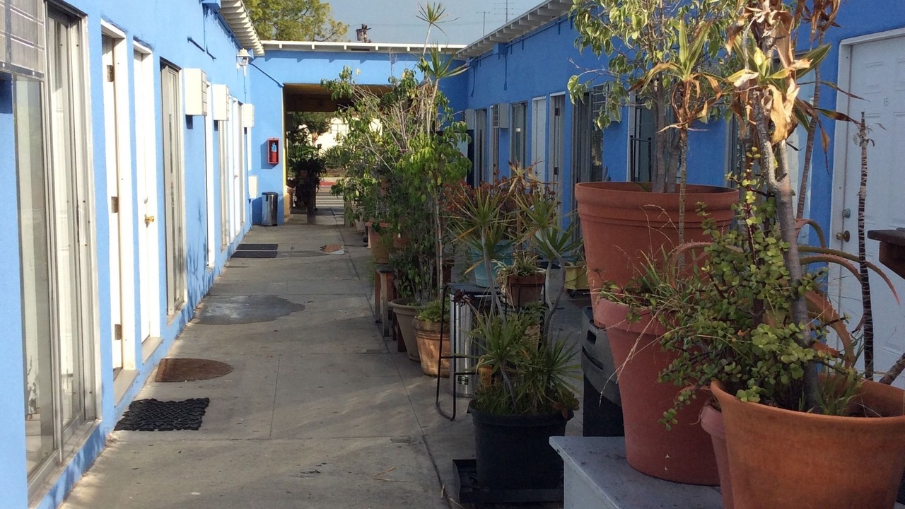 Photo of Outdoor in Sunset Park