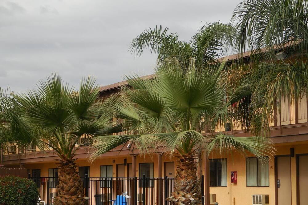 Photo of Outdoor in Oildale