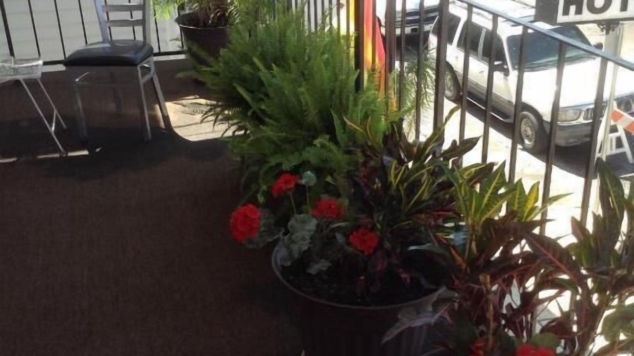 Photo of Outdoor in Treme