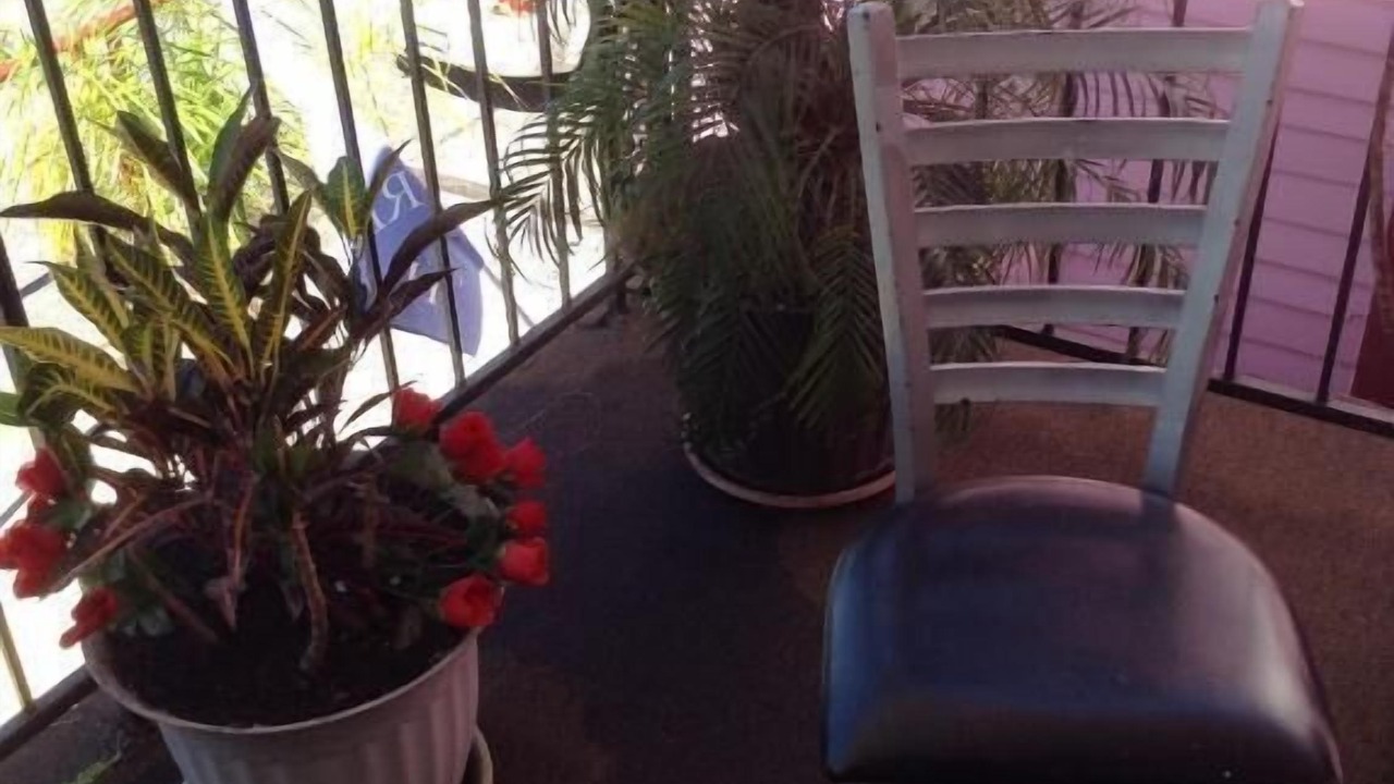 Photo of Outdoor in Treme