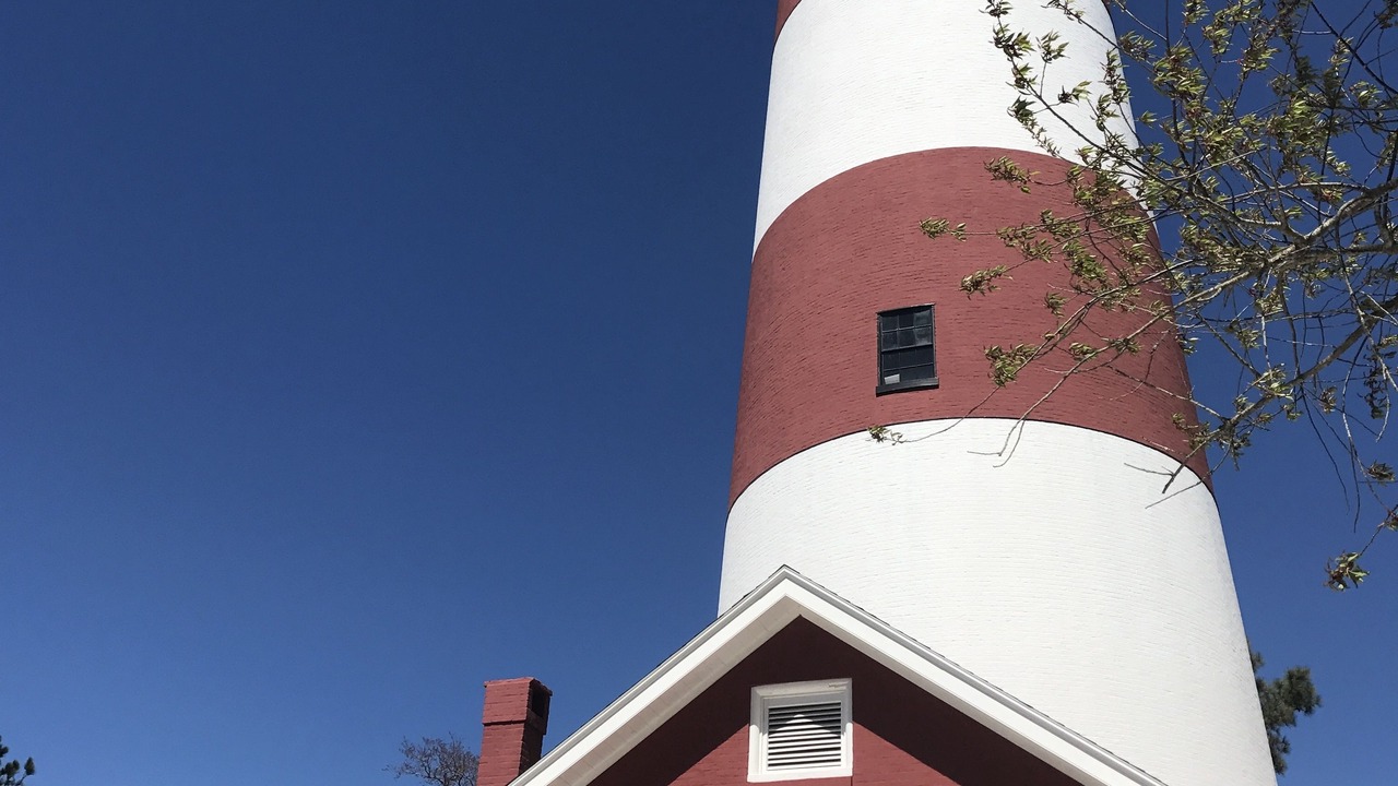 Photo of Others in Chincoteague