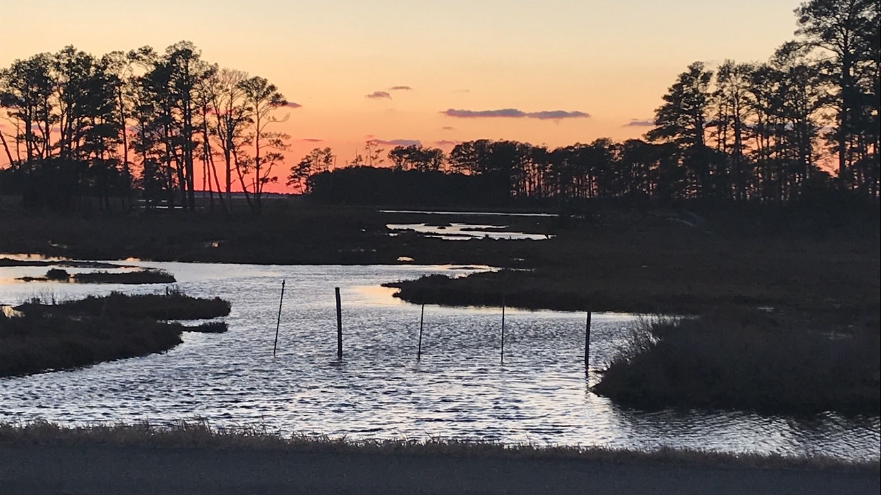 Photo of Others in Chincoteague