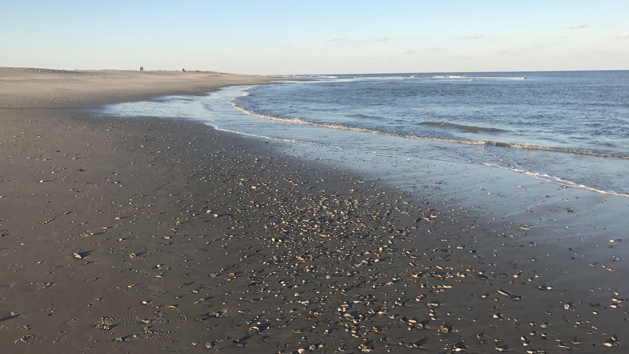 Photo of Others in Chincoteague