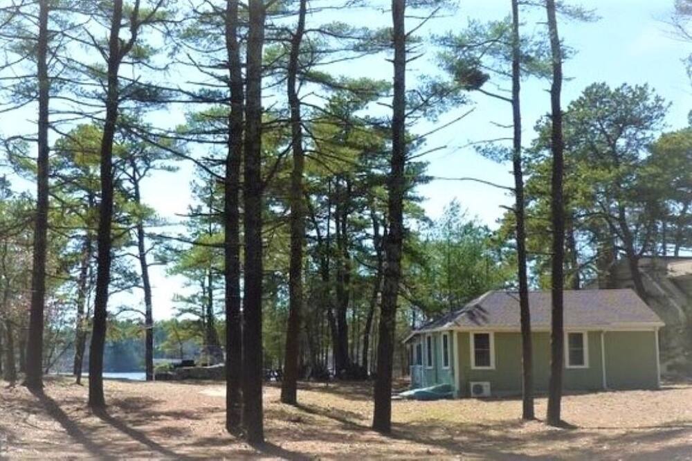 Photo of Others in West Wareham