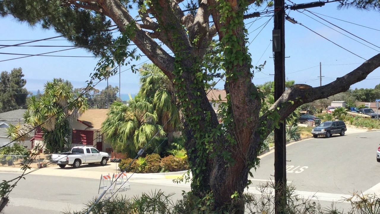 Photo of Outdoor in Ventura