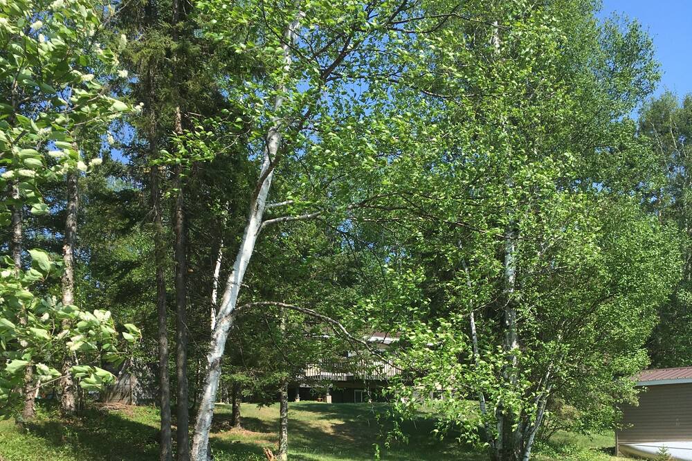 Photo of Outdoor in Brimson