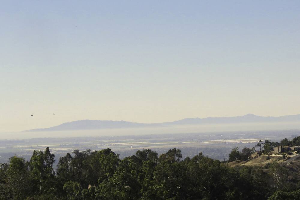 Photo of Others in Camarillo