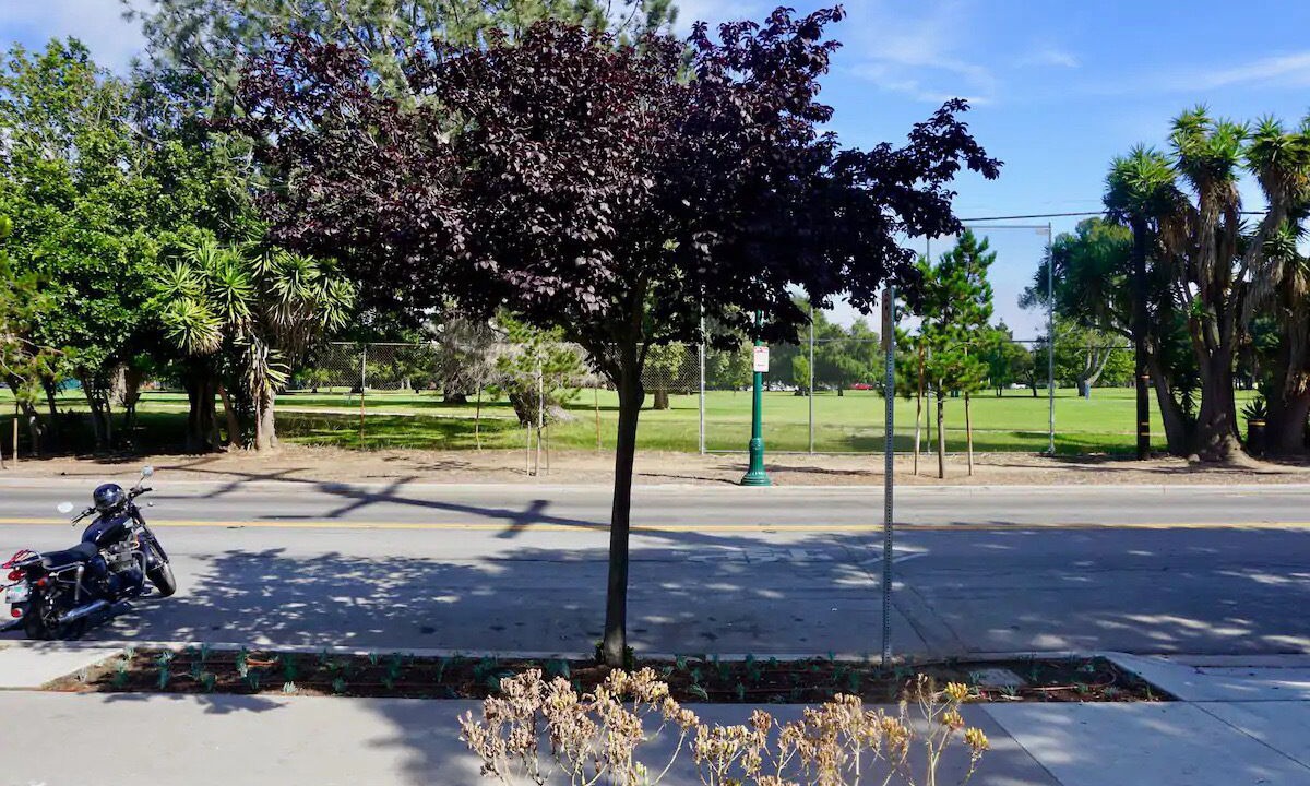 Photo of Outdoor in Sunset Park