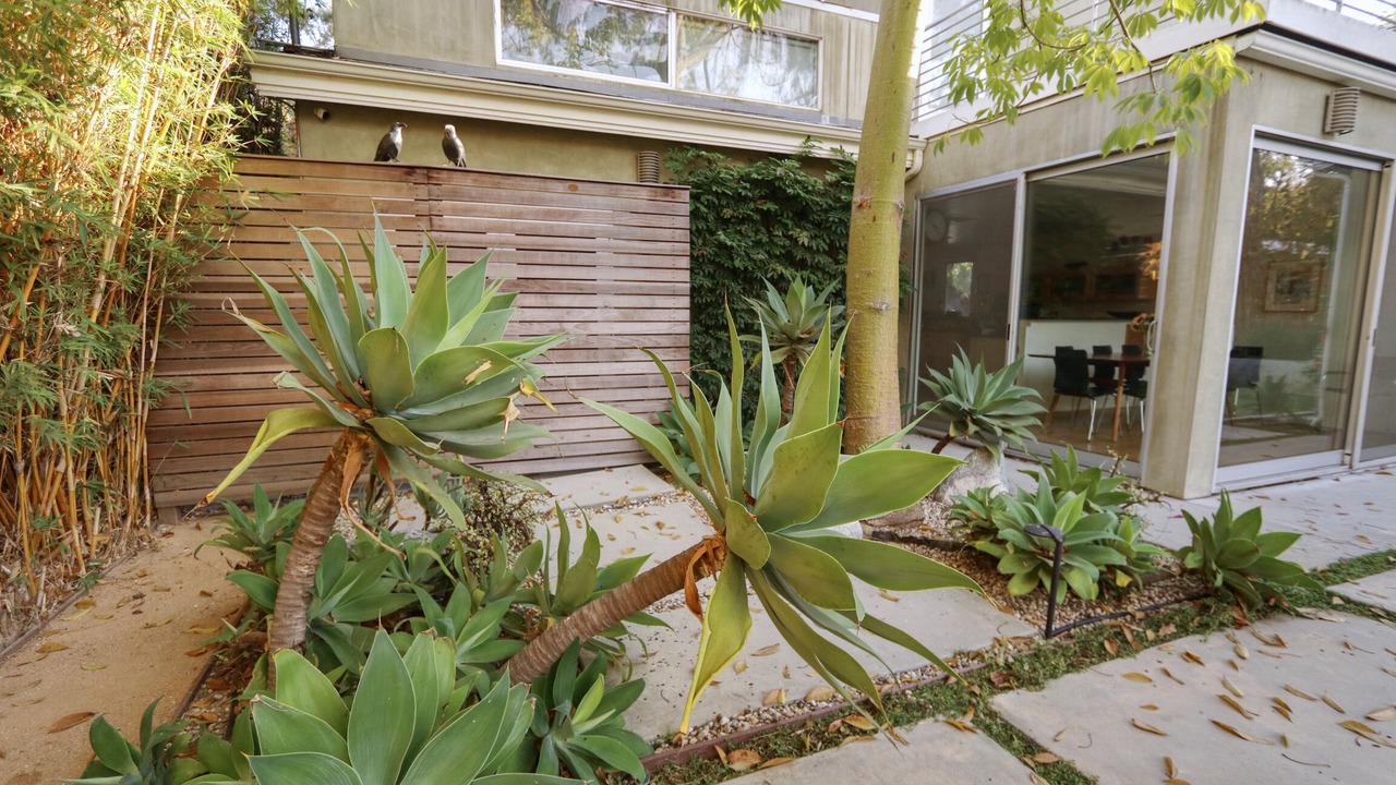 Photo of Outdoor in Sunset Park