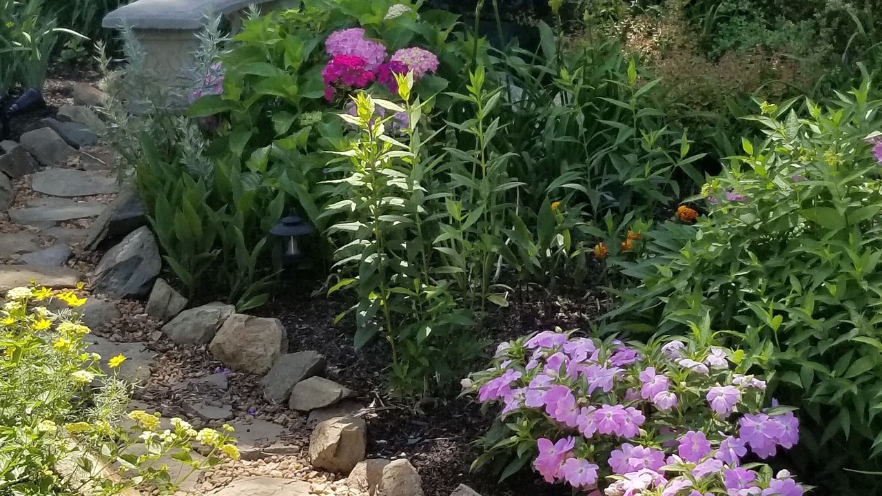 Photo of Outdoor in Blue Ridge