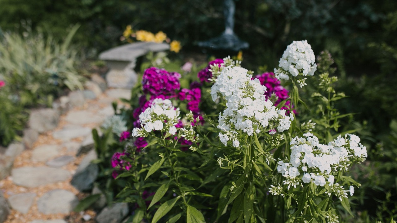 Photo of Outdoor in Blue Ridge
