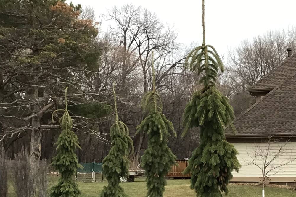 Photo of Outdoor in Minnetonka